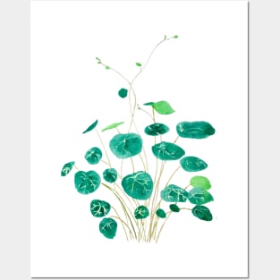 indoor green plant  watercolor Posters and Art